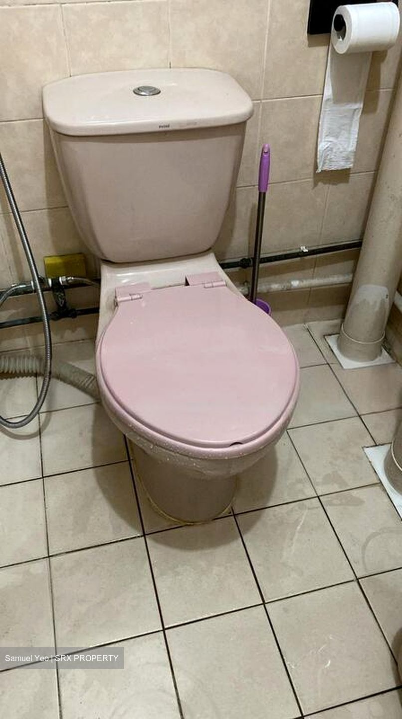 Blk 684C Choa Chu Kang Crescent (Choa Chu Kang), HDB 5 Rooms #475541341